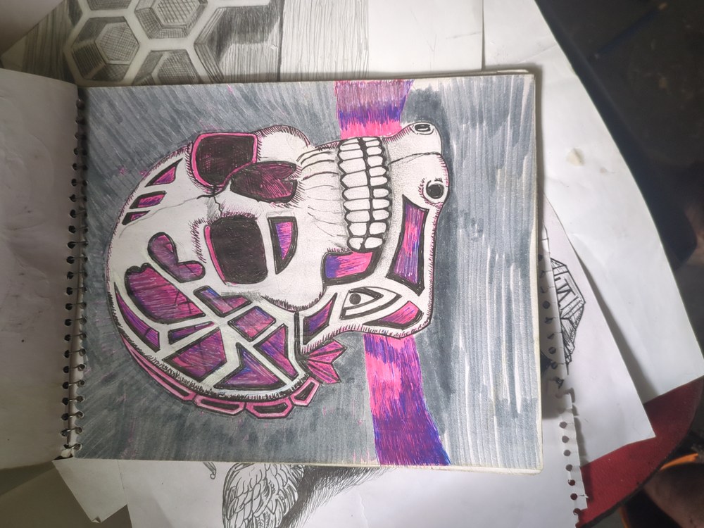 Pink Skull Composition